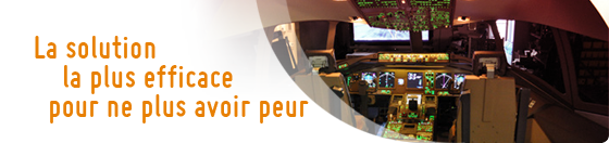 Stage antistress en simulateur de vol avec pilote